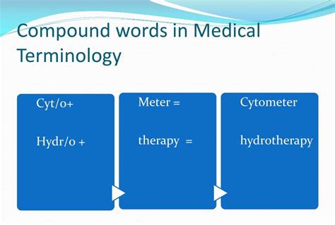 explain how medical terms are similar to compound words